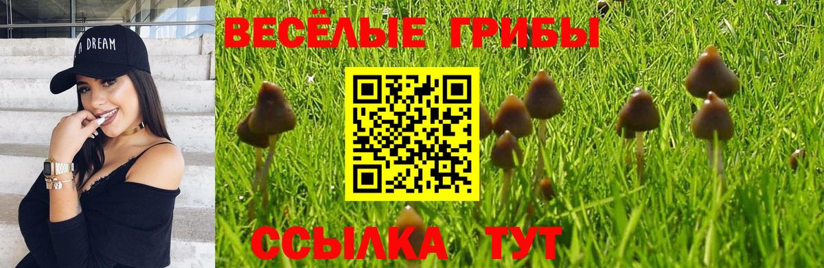 COCAIN  ГАШ  МАРИХУАНА  Елец  Меф МЯУ МЯУ кристаллы  Канабис  Вход с VPN  ГАШИШ  Мефедрон  Где купить наркотики? 
