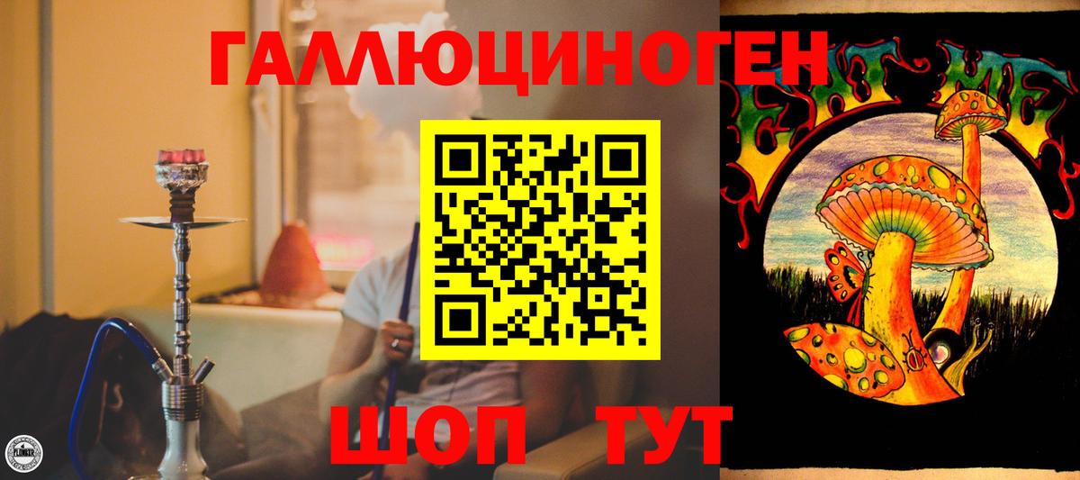 Елец  Псилоцибиновые грибы Cubensis  Вход с VPN  Псилоцибиновые грибы мицелий 