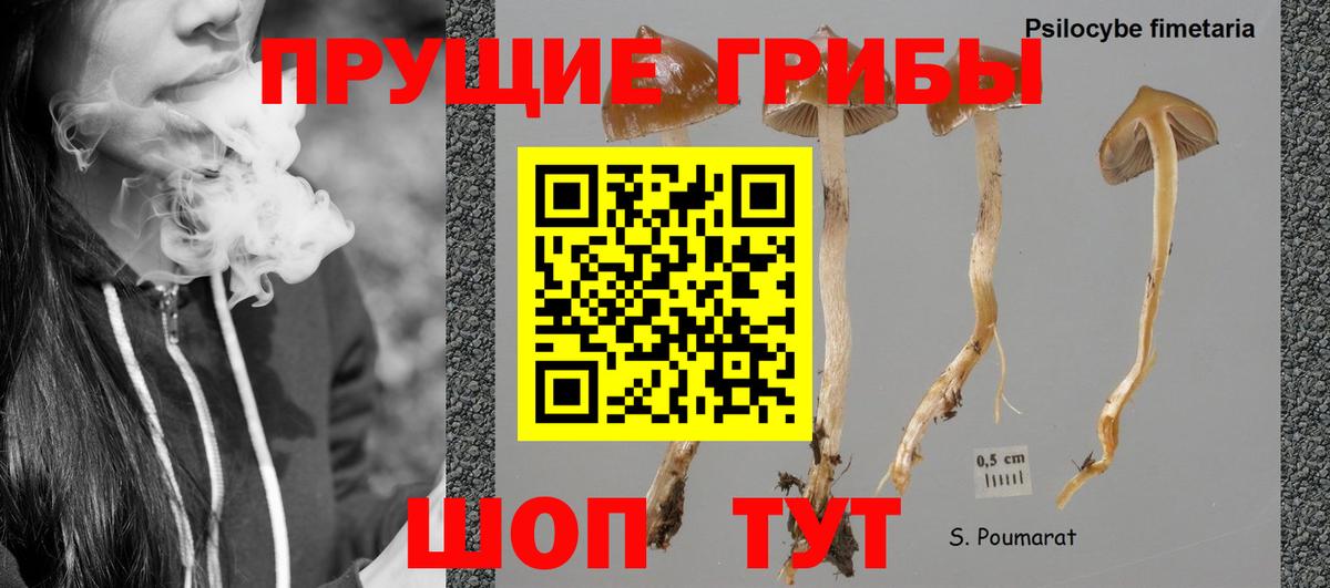 Галлюциногенные грибы Magic Shrooms Елец